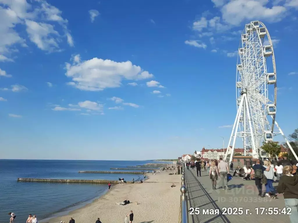 1-к кв. Калининградская область, Зеленоградск Октябрьская ул., 23 ... - Фото 0
