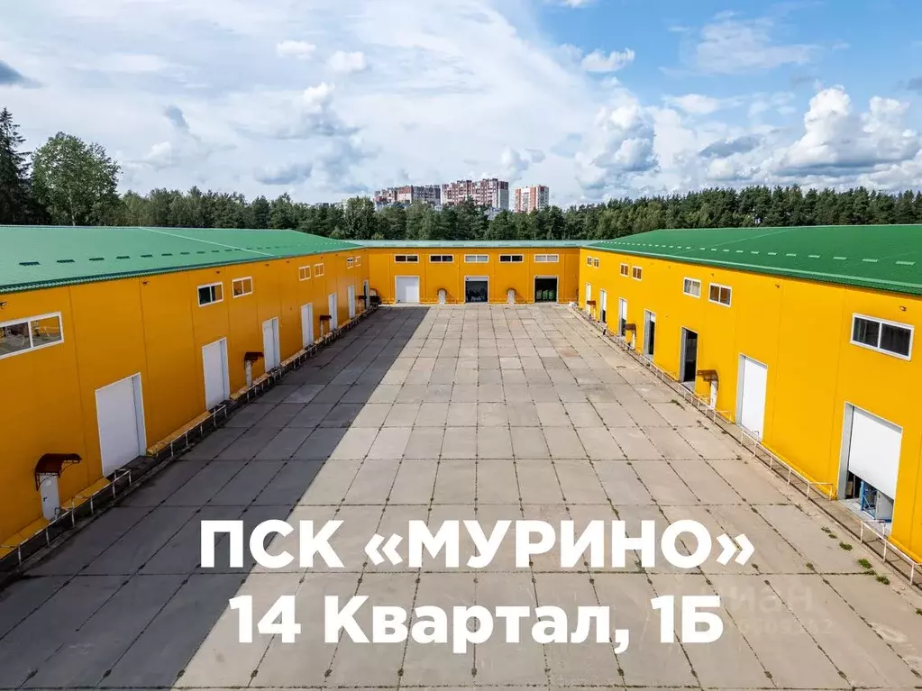 Склад в Ленинградская область, Всеволожский район, Муринское городское ... - Фото 0