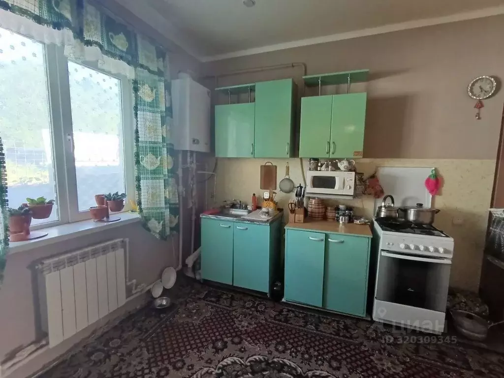 Дом в Оренбургская область, Орск пос. Елшанка, ул. Мамина-Сибиряка ... - Фото 2