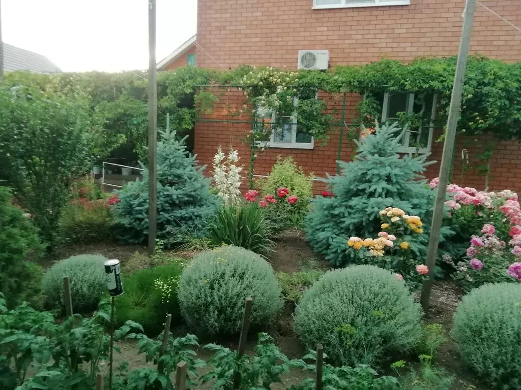 Дом в Ейск, Цветочная улица (187 м) - Фото 2