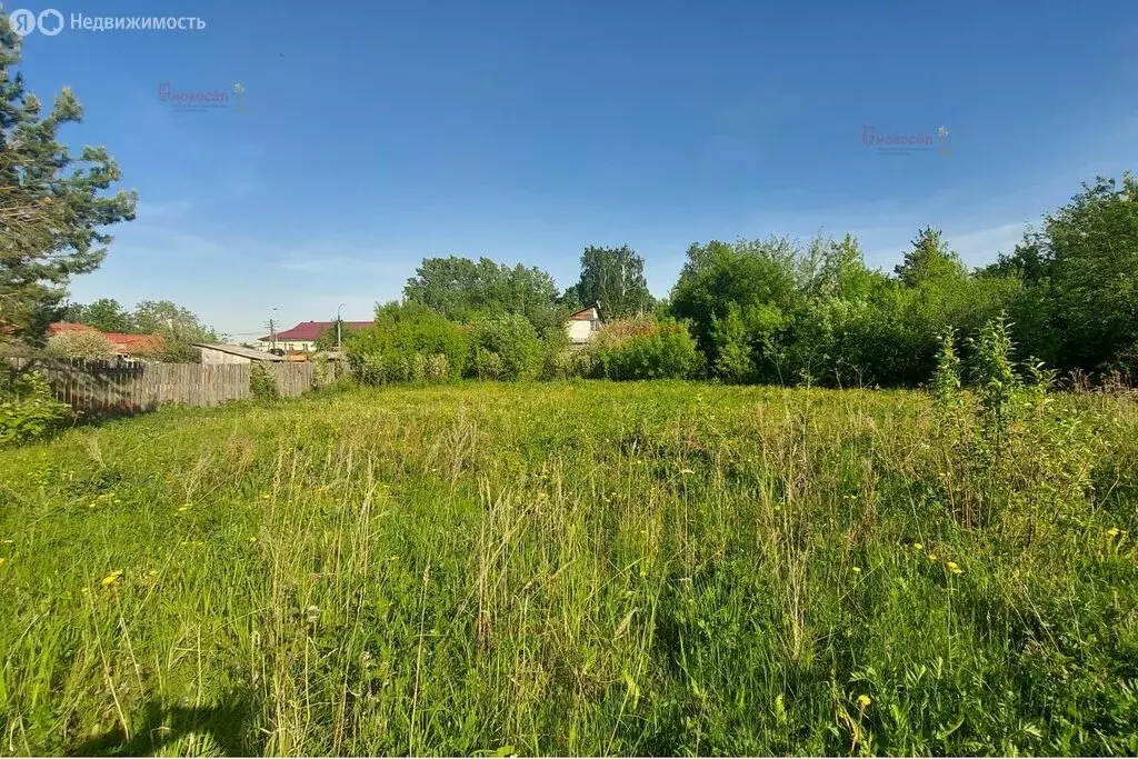 Участок в Берёзовский, улица Ленина, 1 (7 м) - Фото 1