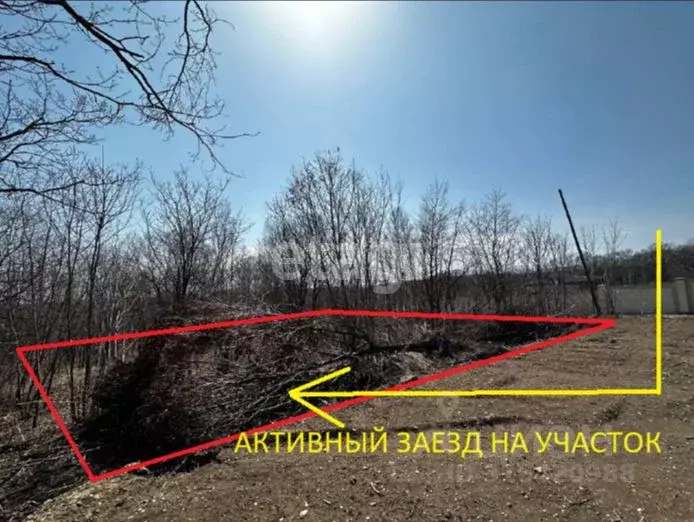 Участок в Приморский край, Надеждинский район, Муравей СНТ ул. ... - Фото 0