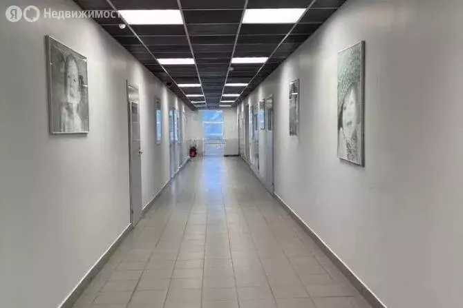 Помещение свободного назначения (39.3 м) - Фото 1