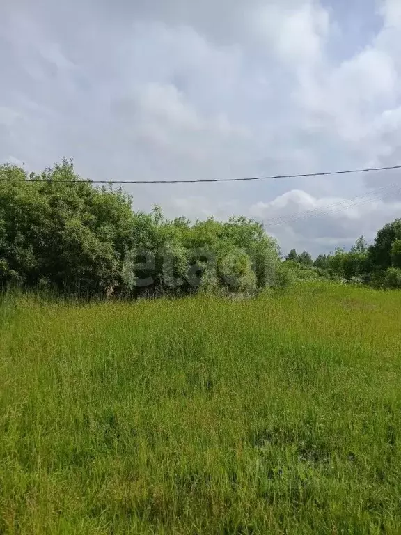 Участок в Вологодская область, Сокольский муниципальный округ, ... - Фото 2