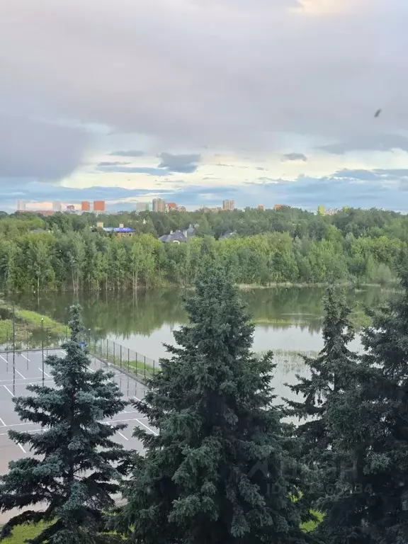 2-к кв. Московская область, Одинцовский городской округ, Заречье пгт ... - Фото 2