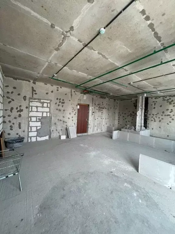 2-к кв. Москва Березовая аллея, 19к5 (48.0 м) - Фото 2