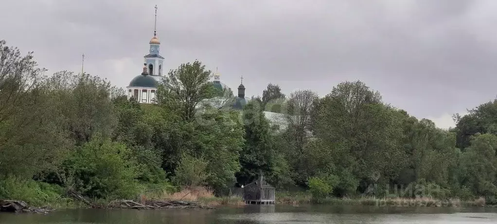 Участок в Брянская область, Брасовский район, Крупецкое с/пос, пос. ... - Фото 2