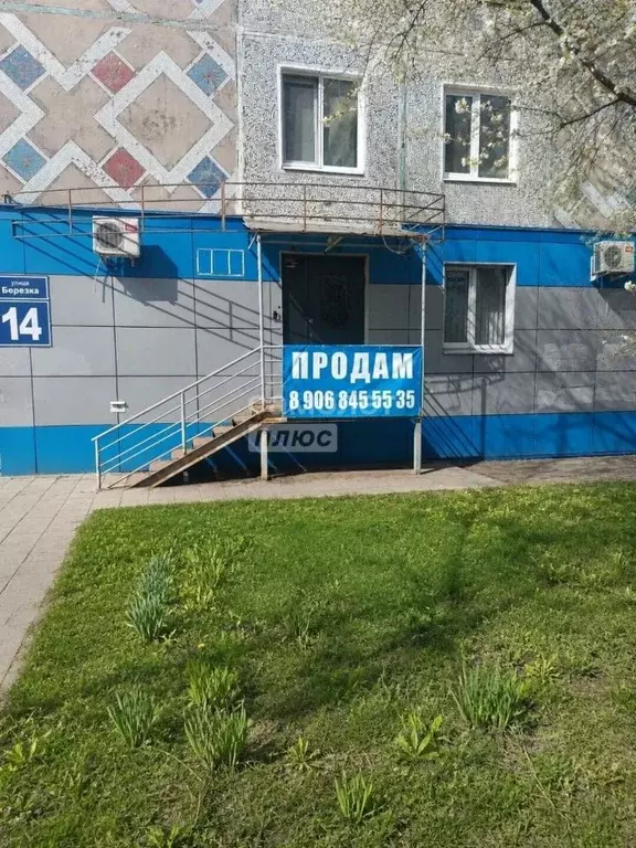 Офис в Оренбургская область, Оренбург ул. Березка, 14 (60 м) - Фото 1