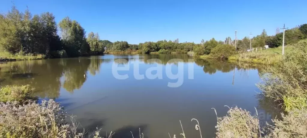 Участок в Тульская область, Тула муниципальное образование, д. ... - Фото 1