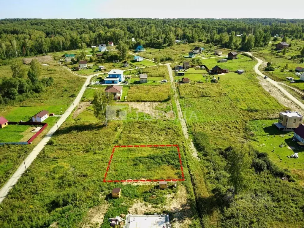 Участок в Новосибирская область, Новосибирский район, Барышевский ... - Фото 0