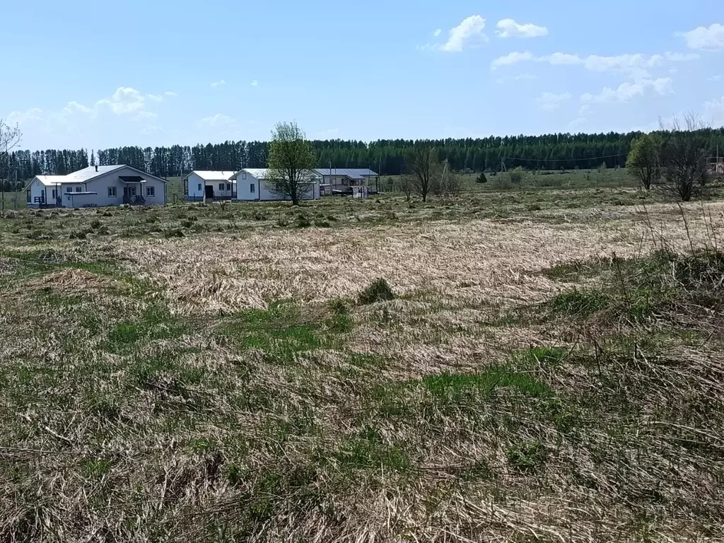 Участок в Нижегородская область, Дивеевский муниципальный округ, д. ... - Фото 1