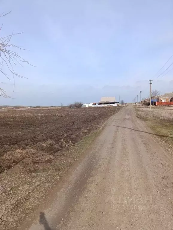 Участок в Краснодарский край, Щербиновское с/пос, пос. Щербиновский ... - Фото 1