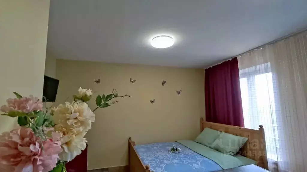 Студия Ленинградская область, Гатчина ул. Чехова, 43 (30.0 м) - Фото 1