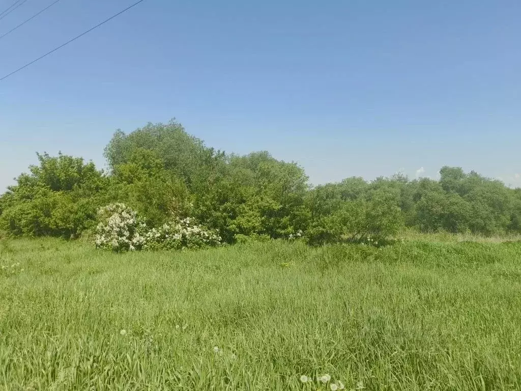 Дом в Воронежская область, Хохольский рп ул. Колхозная (68 м) - Фото 2