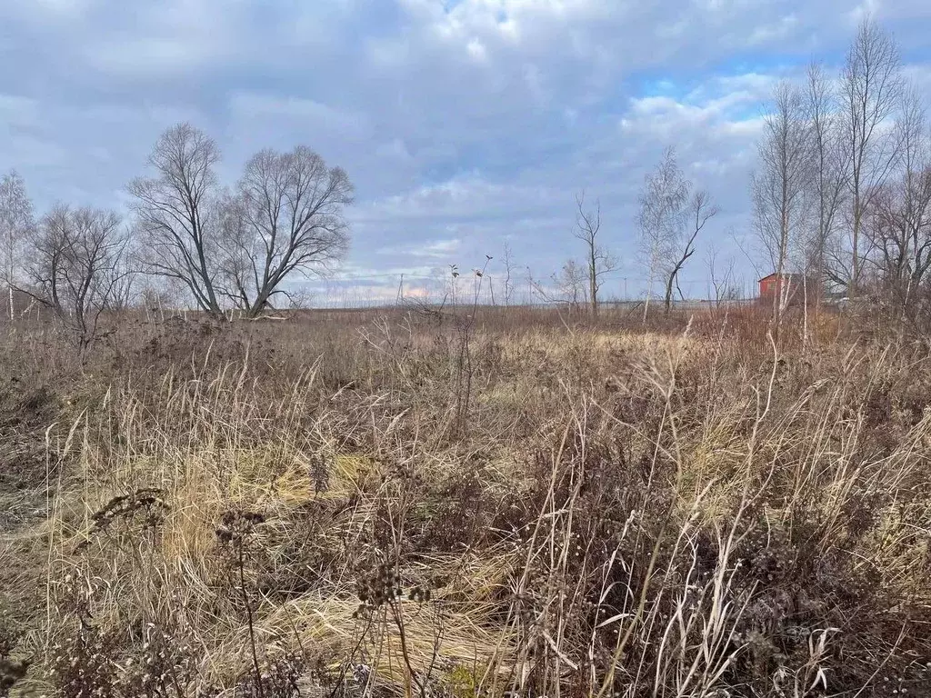 Участок в Московская область, Воскресенск городской округ, с. Карпово  ... - Фото 0