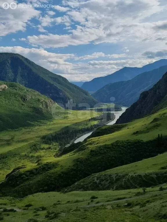 Участок в Усть-Коксинский район, село Усть-Кокса (3456.12 м) - Фото 1