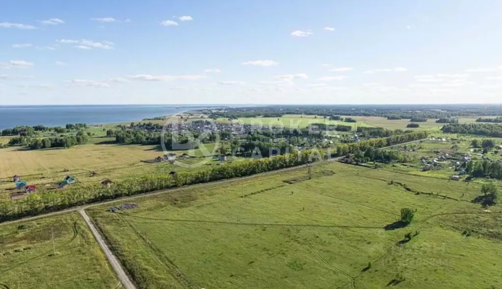 Участок в Новосибирская область, Новосибирский район, Морской ... - Фото 1