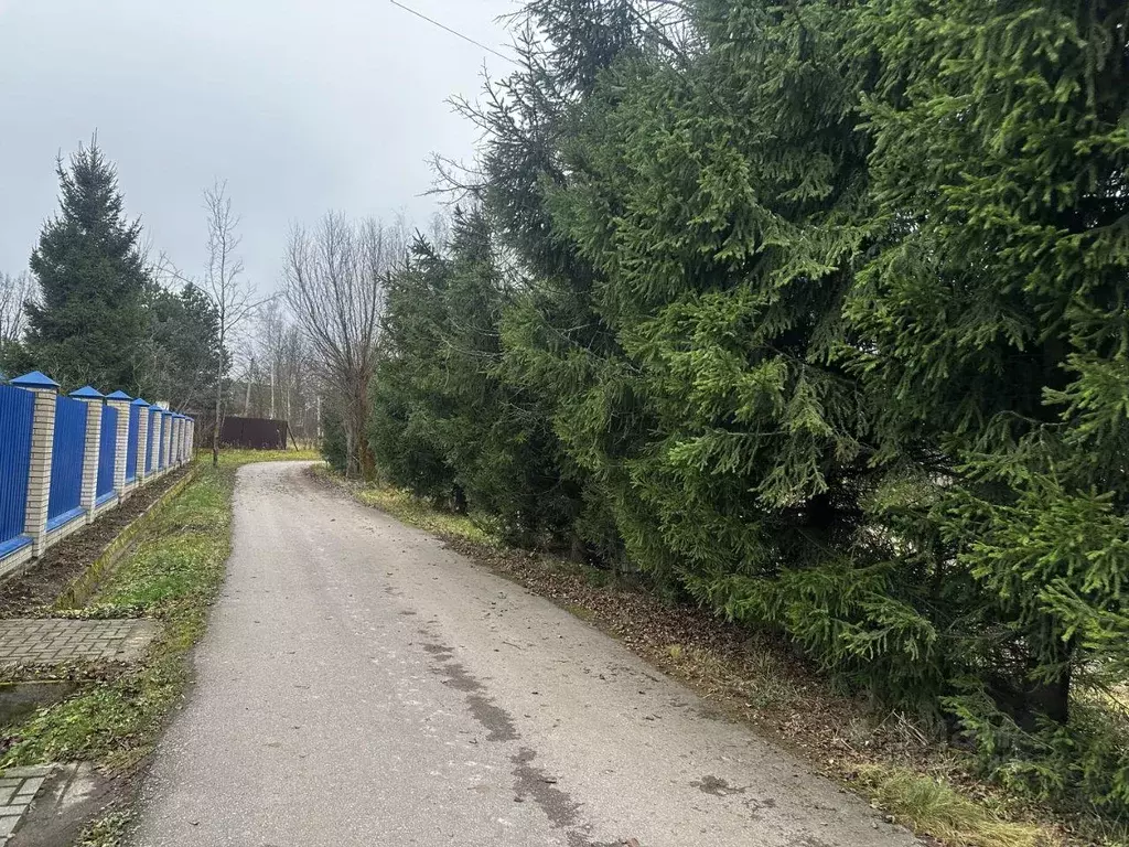 Участок, 12 сот., поселения (ижс) - Фото 1