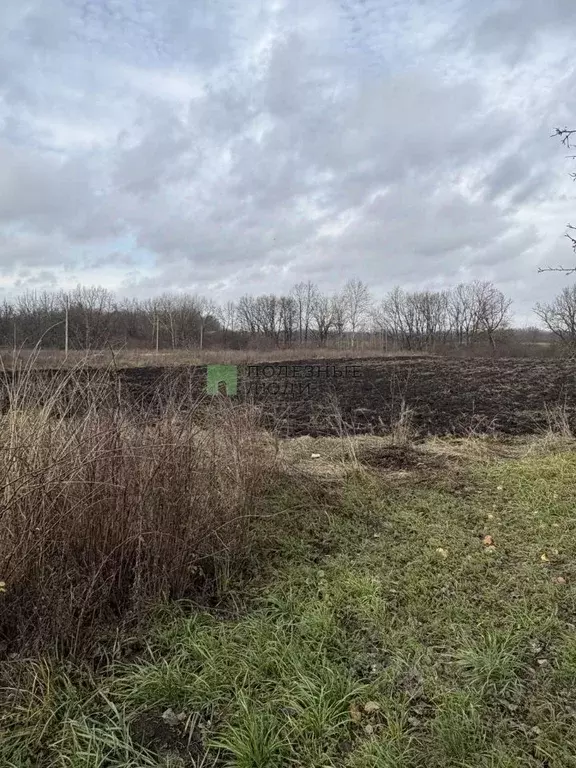 Участок в Белгородская область, Ивнянский район, Покровское с/пос, с. ... - Фото 2