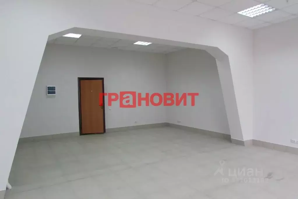 Офис в Новосибирская область, Новосибирск ул. Ленина, 21/1к1 (120 м) - Фото 1