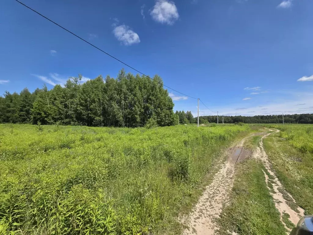 Участок в Нижегородская область, Городецкий муниципальный округ, д. ... - Фото 0