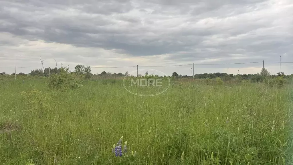Участок в Калининградская область, Гурьевский муниципальный округ, ... - Фото 1