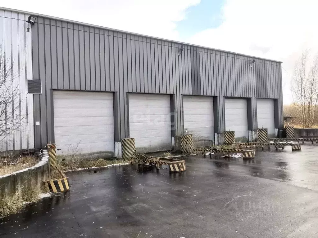 Склад в Калининградская область, Зеленоградский муниципальный округ, ... - Фото 1