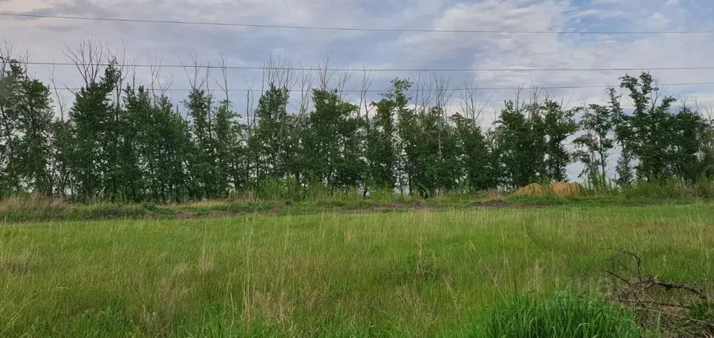 Участок в Омская область, Омск Звездочка СНТ,  (8.3 сот.) - Фото 1