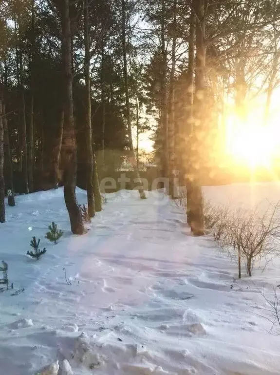 Дом в Татарстан, Тукаевский район, с. Кузкеево ул. Г. Ахметшина (76 м) - Фото 0