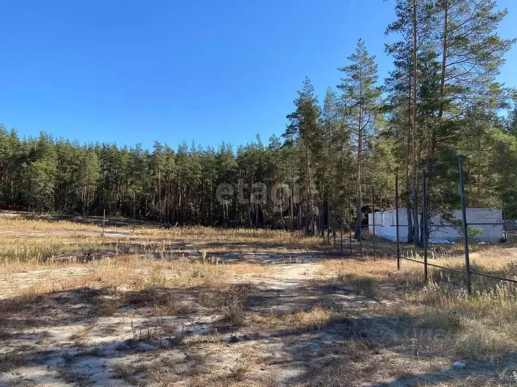 Участок в Воронежская область, Рамонский район, Новоживотинновское ... - Фото 1