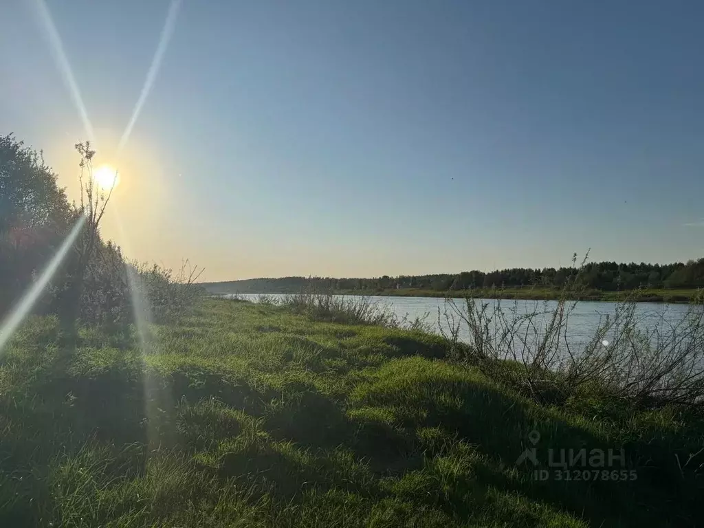 Участок в Тверская область, Калининский муниципальный округ, д. ... - Фото 1