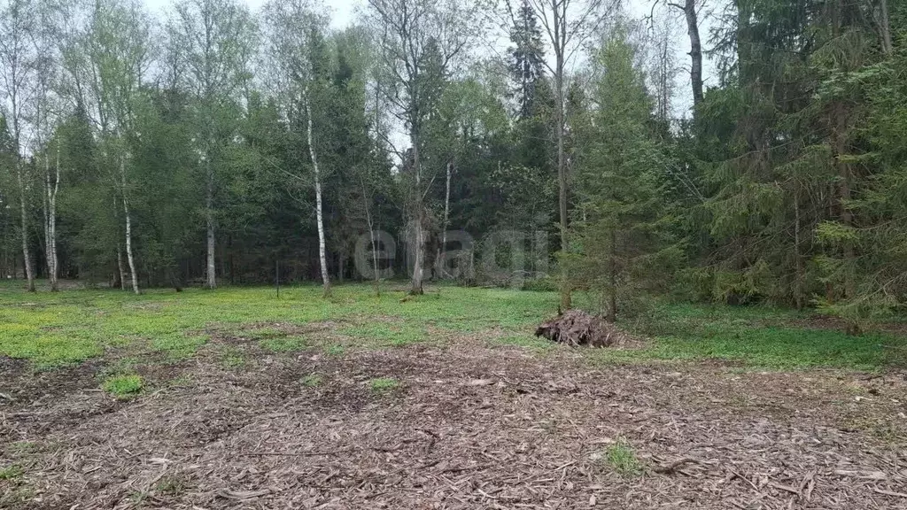 Участок в Владимирская область, Кольчугинский муниципальный округ, ... - Фото 1