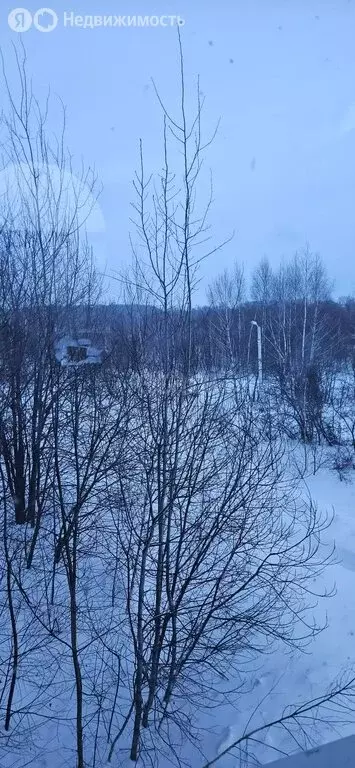 Дом в Щёкинский район, городское поселение Первомайский, рабочий ... - Фото 1