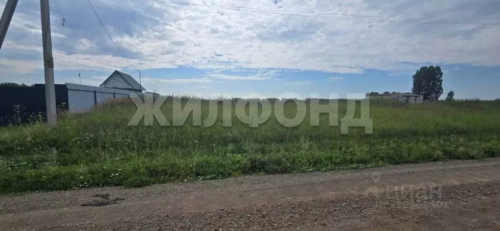 Участок в Новосибирская область, Коченевский район, д. Чик ул. ... - Фото 1