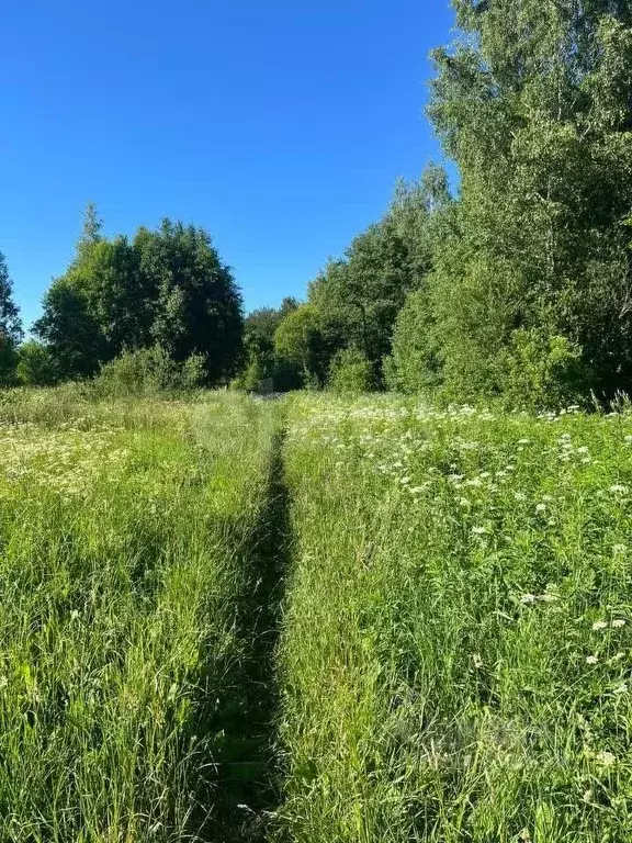 Участок в Ленинградская область, Всеволожский район, Куйвозовское ... - Фото 1