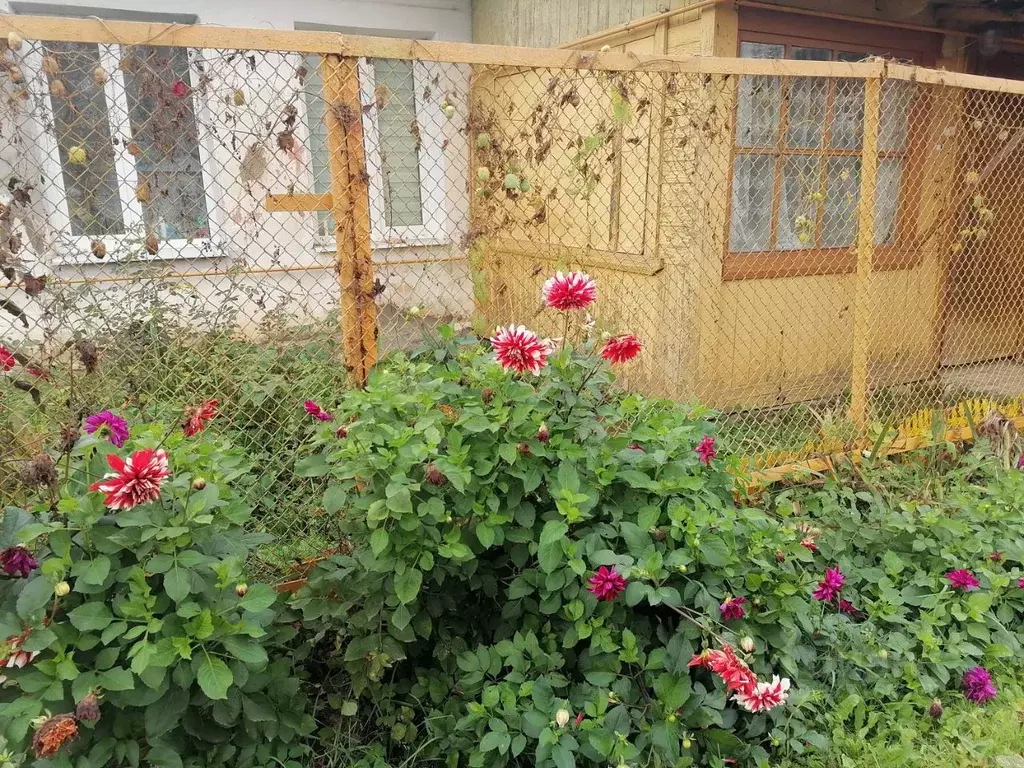 2-к кв. Тверская область, Ржев ул. Пархоменко, 6 (50.0 м) - Фото 1