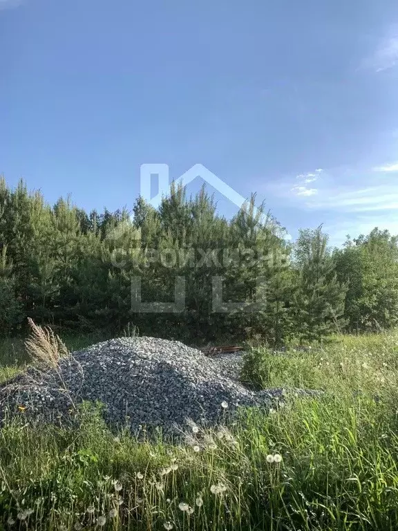 Участок в Свердловская область, Екатеринбург Аэродром ДНП, ул. ... - Фото 2