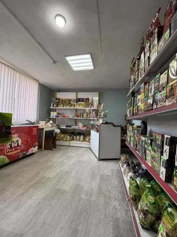 Помещение свободного назначения в Саратовская область, Энгельс ул. ... - Фото 2