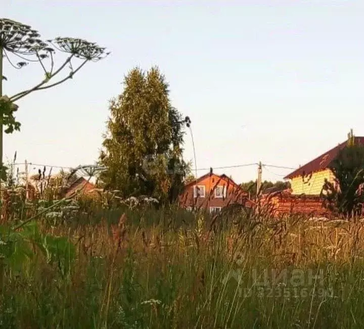 Участок в Пермский край, Краснокамский муниципальный округ, д. ... - Фото 1