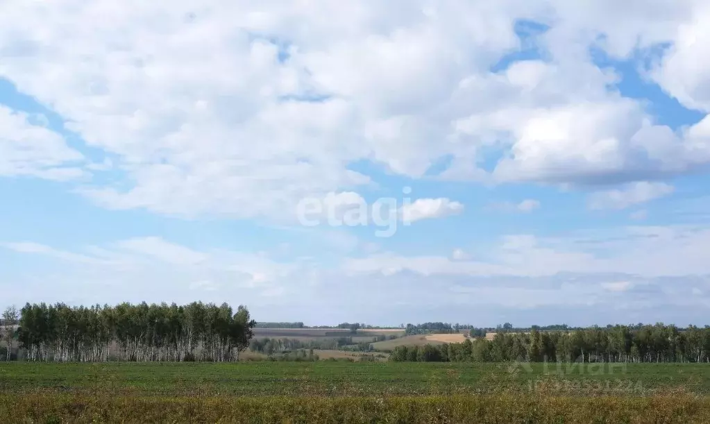 Участок в Новосибирская область, Искитимский район, Улыбинский ... - Фото 1