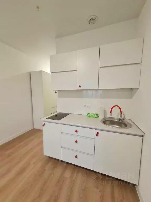 Студия Москва Пятницкое ш., 56Б (24.5 м) - Фото 1