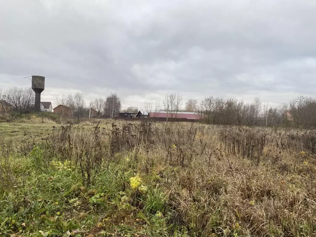 Участок в Московская область, Луховицы муниципальный округ, с. ... - Фото 1