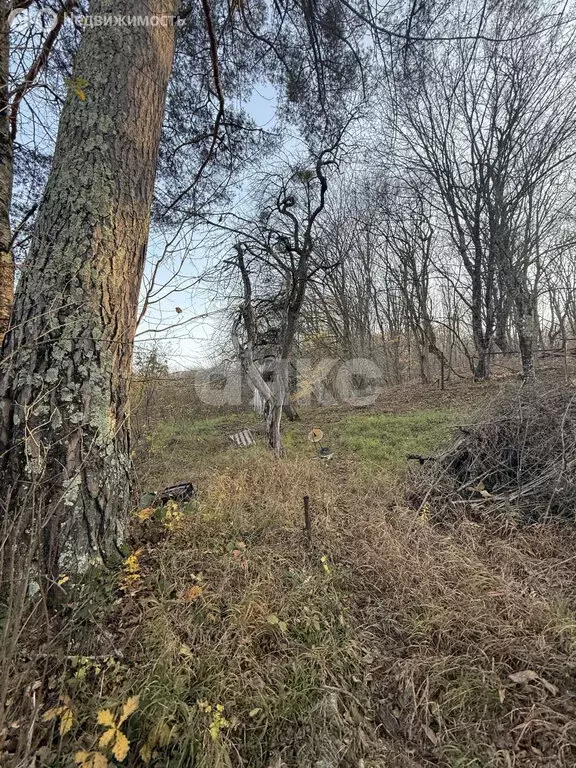 Участок в Хамышки, Садовая улица (11 м) - Фото 2