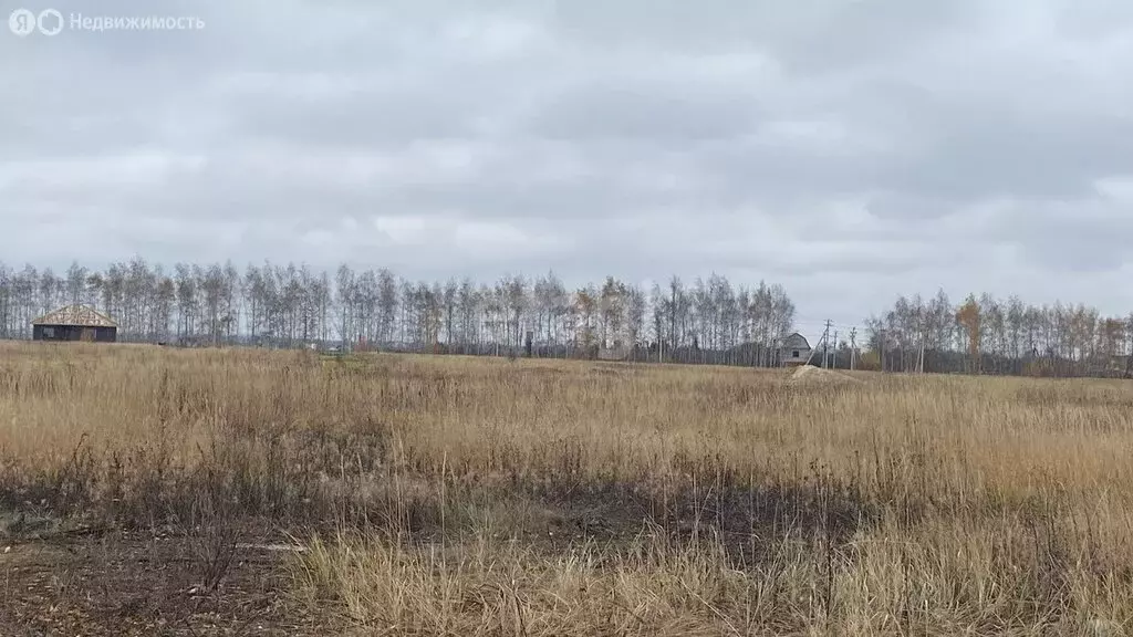 Участок в посёлок совхоза Комсомолец, коттеджный посёлок Комсомолец ... - Фото 1