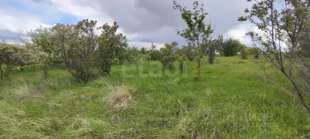 Участок в Воронежская область, Рамонский район, Чистополянское с/пос, ... - Фото 2