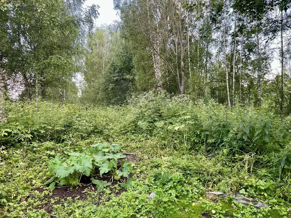 Участок 11 сот. (ИЖС) - Фото 0