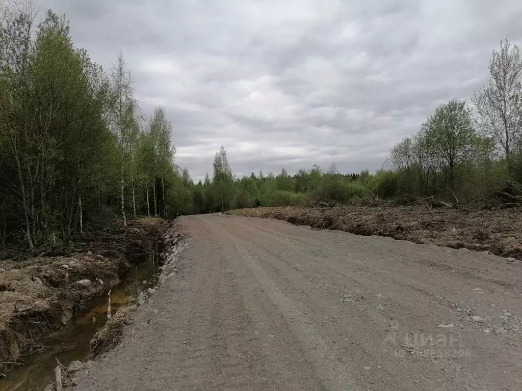 Участок в Ленинградская область, Всеволожский район, Лесколовское ... - Фото 1