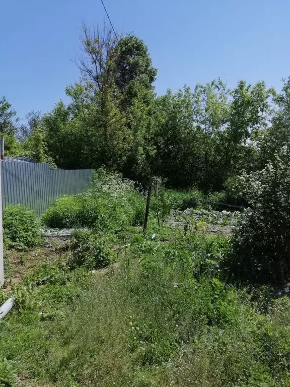 Участок в Тульская область, Алексин ул. Глинки, 10 (10.0 сот.) - Фото 2