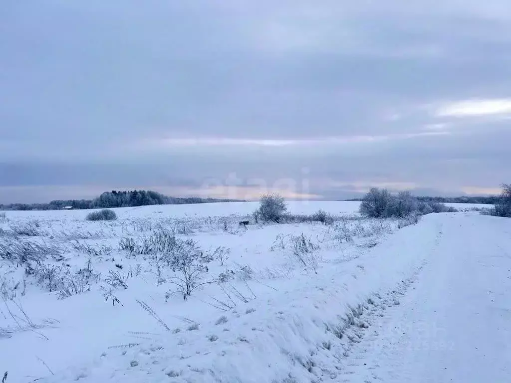 Участок в Вологодская область, пос. Грибково  (10.0 сот.) - Фото 1