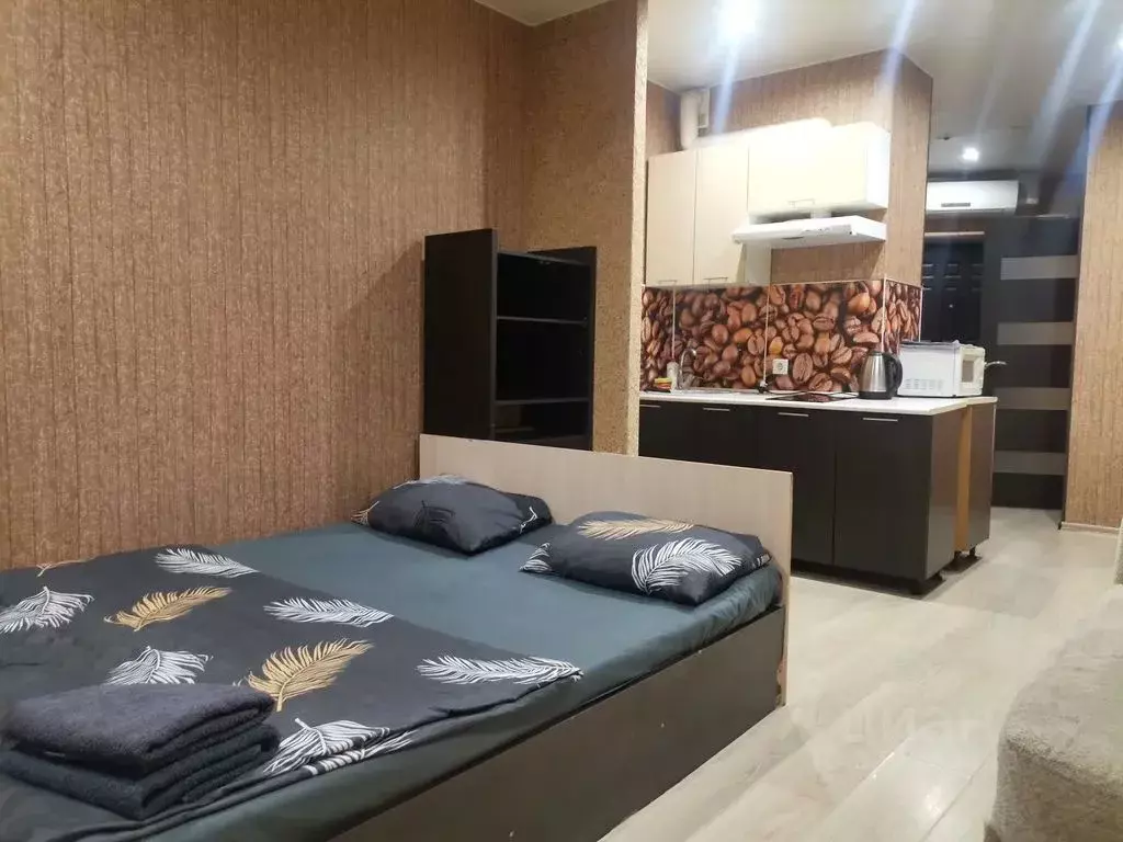 Студия Московская область, Мытищи Шараповский проезд, 2вл2стр3 (30.0 ... - Фото 1